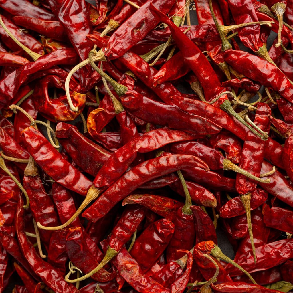 red chilli from PT g8 ventures global